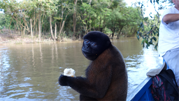 Cruisin' down the Amazon with my new friends!